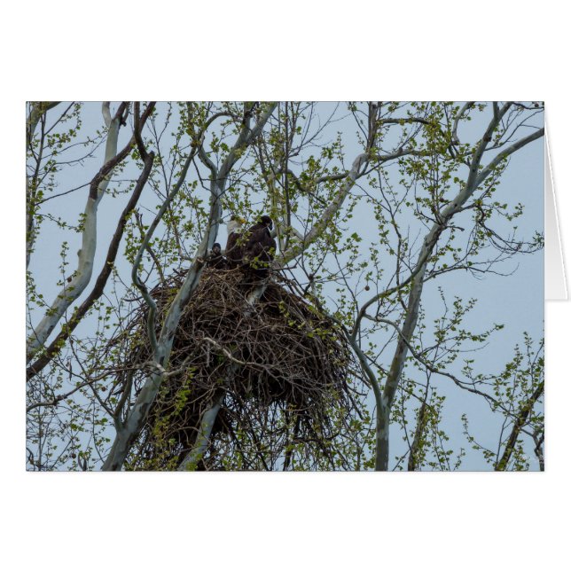 Kylning med Mamma OBS Kort (Framsidan Horizontal)