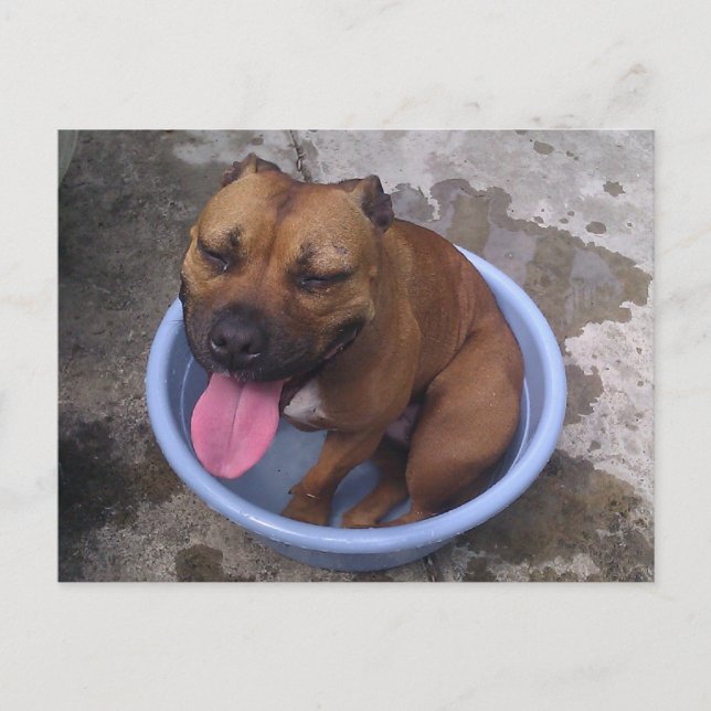 Kylning på en hett dag vykort (Framsida)