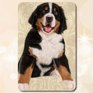 Kylskåp 4 x 6-Hund fotomall Magnet