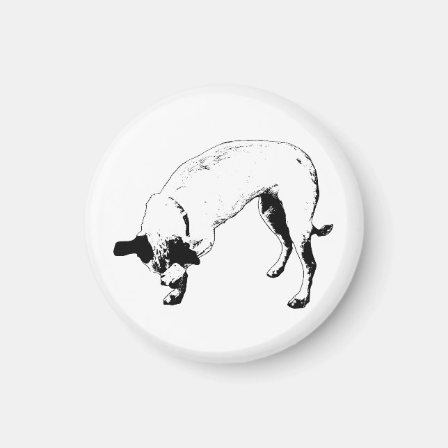 Kylskåp Blyg Terrier Magnet (Framsidan)
