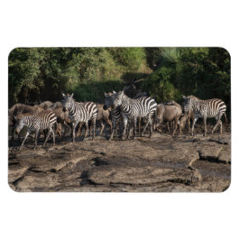 Kylskåp DITT fotomall 4 x 6 Magnet