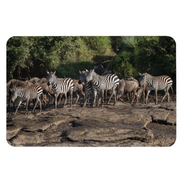 Kylskåp DITT fotomall 4 x 6 Magnet (Horisontell)