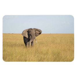 Kylskåp DITT fotomall 4 x 6 Magnet