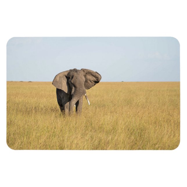 Kylskåp DITT fotomall 4 x 6 Magnet (Horisontell)