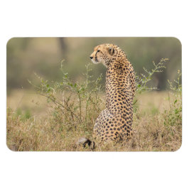 Kylskåp DITT fotomall 4 x 6 Magnet