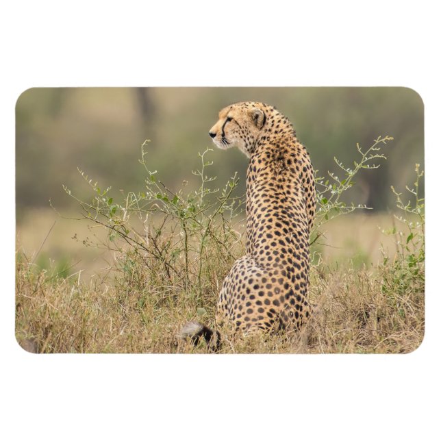 Kylskåp DITT fotomall 4 x 6 Magnet (Horisontell)