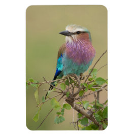 Kylskåp DITT fotomall 4 x 6 Magnet