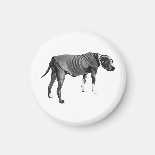 Kylskåp väst, stadig vän magnet (Framsidan)