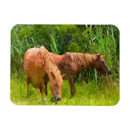 Kylskåp, Vild av assateague Magnet