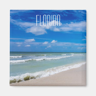 Kylskåpa från Florida Magnet