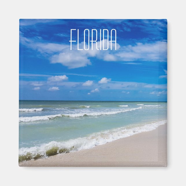 Kylskåpa från Florida Magnet (Framsidan)