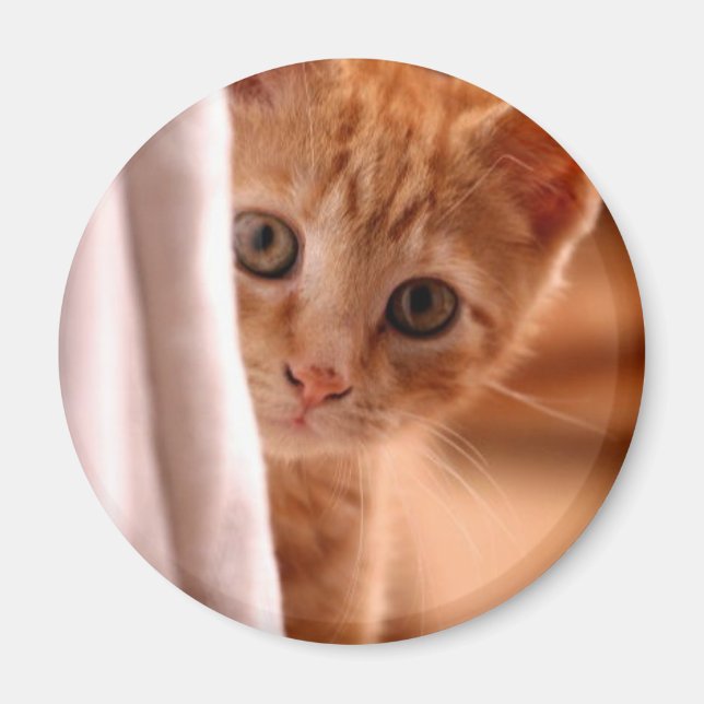 Kylskåpsmagnet göm och vänd Kattunge (Framsidan)