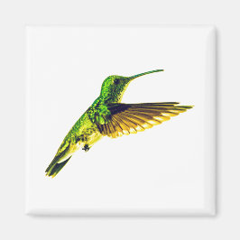 Kylskåpsmagnet med smaragdkolibri
