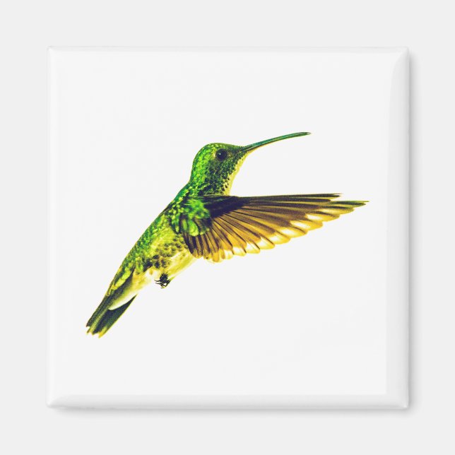 Kylskåpsmagnet med smaragdkolibri (Framsidan)