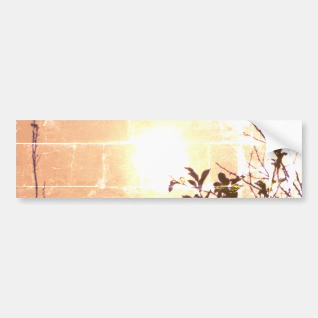 Kylskylt KOLLA EKOLOGISK DESIGN Bildekal (Framsidan)