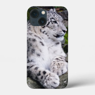 Kylt ut Snö Leopard
