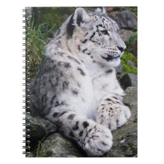 Kylt ut Snö Leopard Anteckningsbok