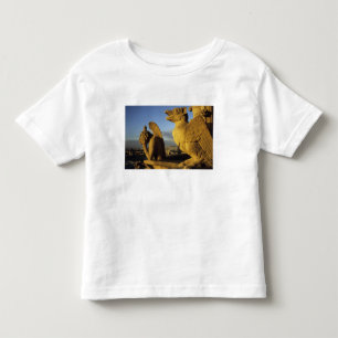 Kymär, Notre Dame-katedralen, Paris, Frankrike Tröja