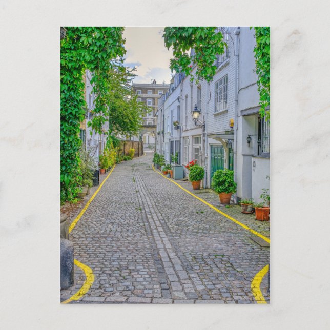 Kynance Mews, Kensington, London UK Postcard Vykort (Framsida)