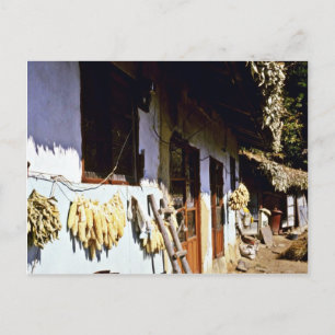 Kyongsangnam-Do - Chonghak-dong Traditional Villag Vykort