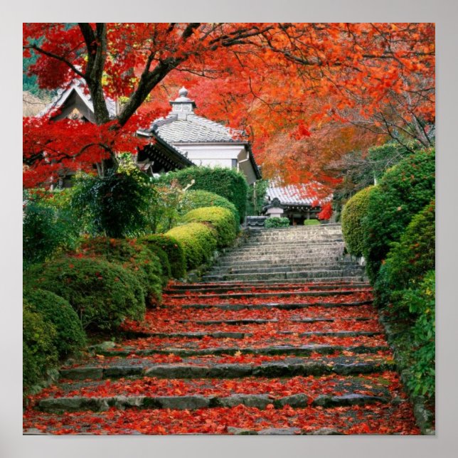 Kyoto, Autumn Leaves Poster (Framsidan)
