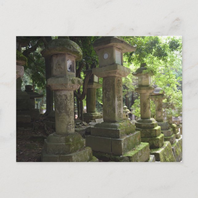 Kyoto Japan Vykort (Framsida)