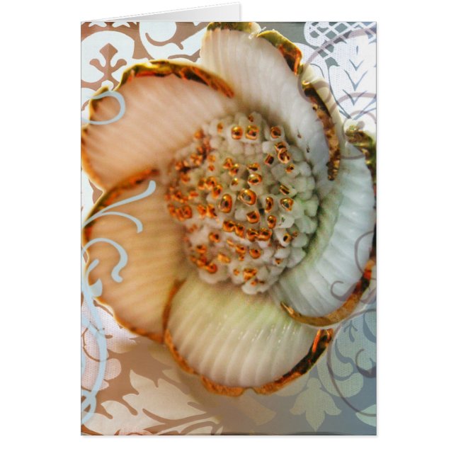 Kyoto Sakura Hälsningskort (Framsidan)