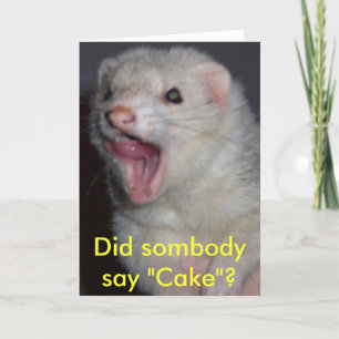Kyra the Ferret Kort