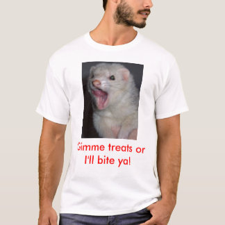 Kyra vesslan tee shirt