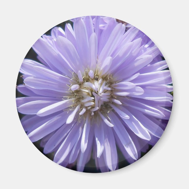 Kyrene Magnet (Framsidan)