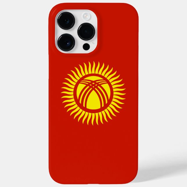 Kyrgyzstan flagga (Baksida)