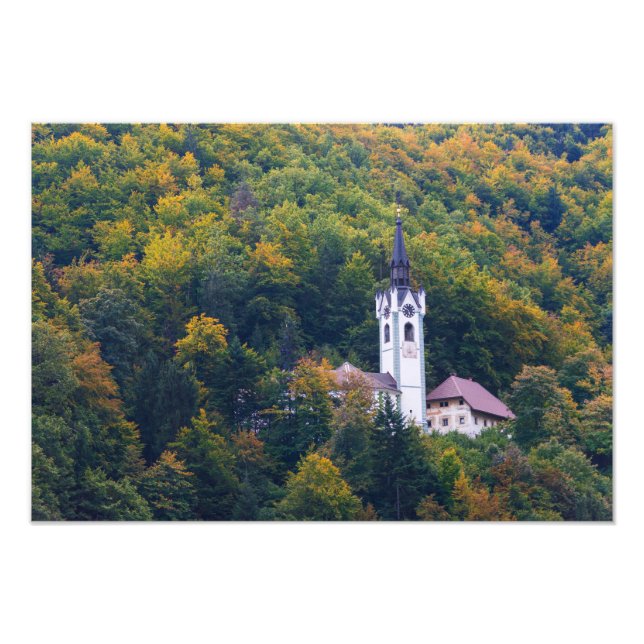 Kyrka i en fallskog i Slovenien Fototryck (Framsidan)