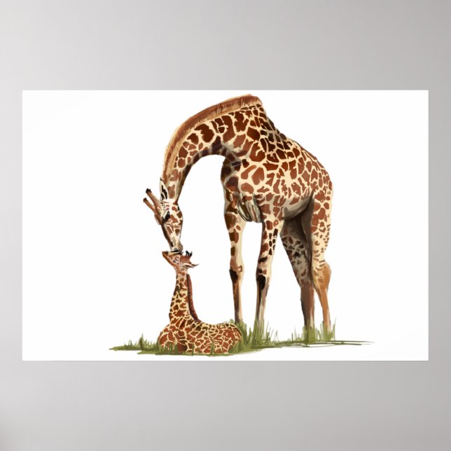Kysning av Giraffe och baby kalf Poster (Framsidan)