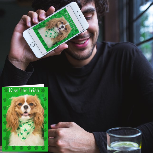 Kyss irländarna! Cavalier Kung Charles Spaniel Car Kort (Skapare uppladdad)