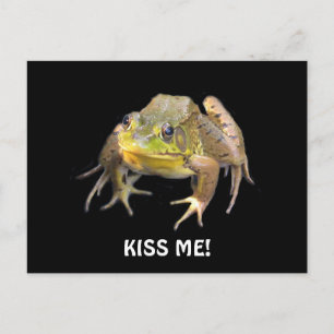 Kyss mig! Grönt Frog vykort