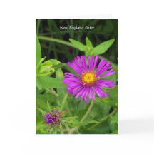 Kyss utan Hug..  offert