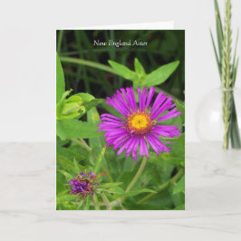 Kyss utan Hug..  offert Kort