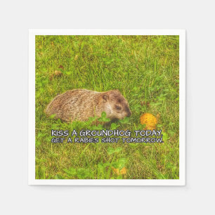 Kyssa en groundhog i dag. Få en rabies sköt Pappersservett