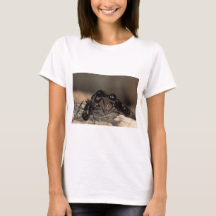 kyssa för myror tee