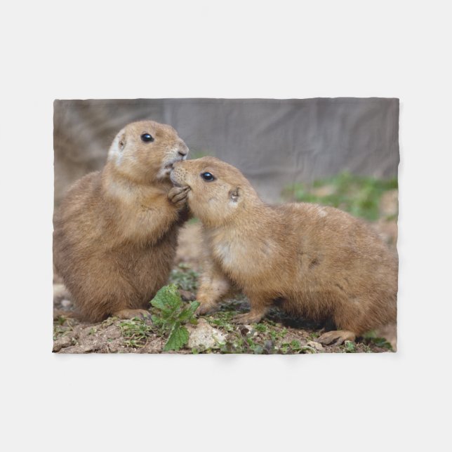 Kyssa mig den snabba ullfilten fleecefilt (Framsidan (Horisontell))