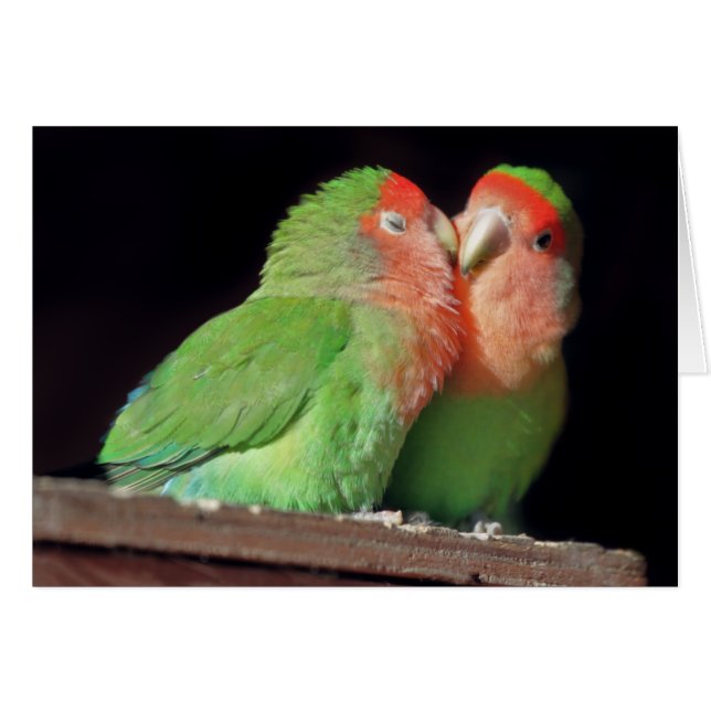 Kyssa mig kortet hälsningskort (Framsidan Horizontal)