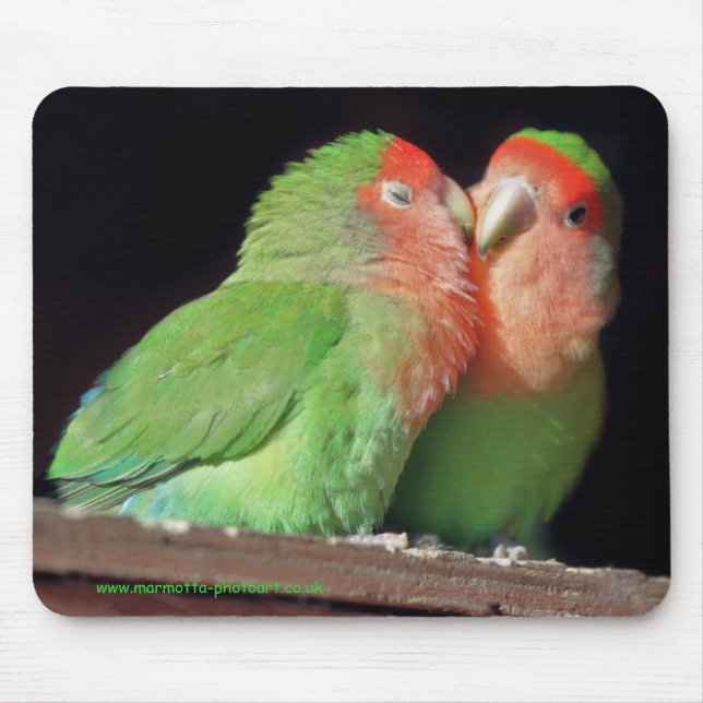 Kyssa mig Mousemat Musmatta (Framsidan)