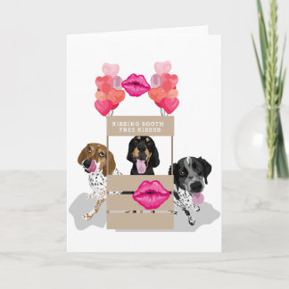 Kyssande bås för Coonhound Kort