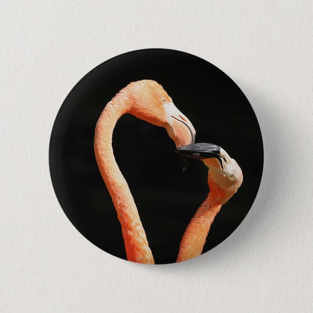 Kyssande flamingos knapp (Framsida)