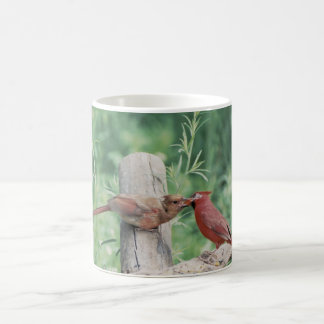 Kyssande kardinaler kaffemugg