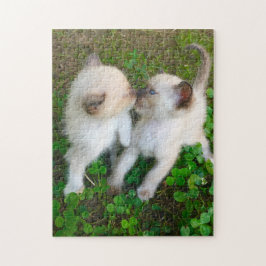 kyssande kattungar pussel