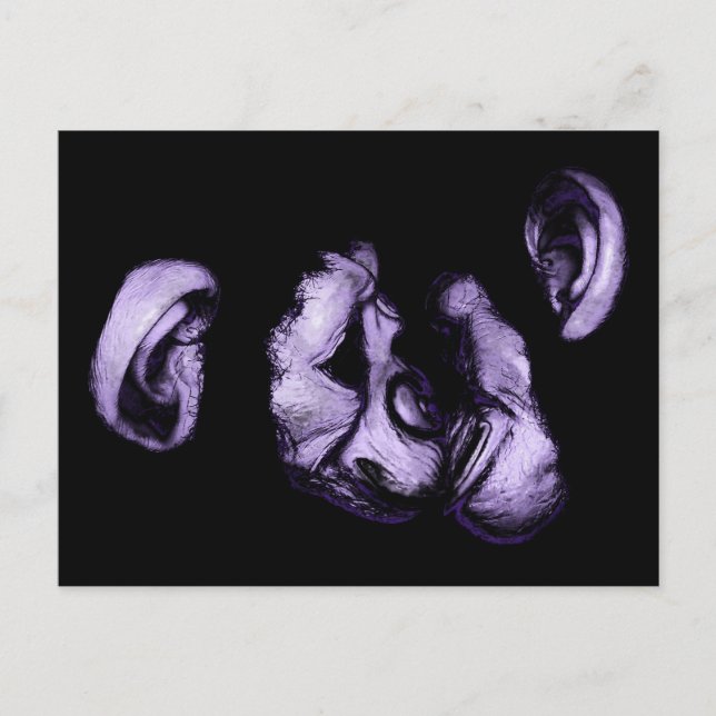 kyssande schimpans vykort (Framsida)