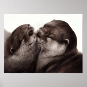 Kyssande utter - Handmålad Wildlife Art Poster