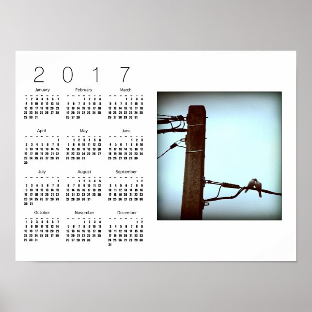 KYSSEN Vita Kalender Poster 2017 (Framsidan)