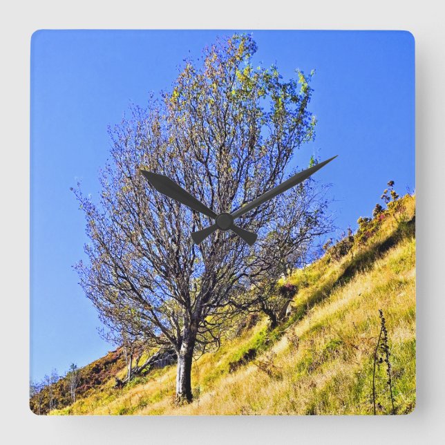 L0NE TRÄD FYRKANTIG KLOCKA (Framsida)